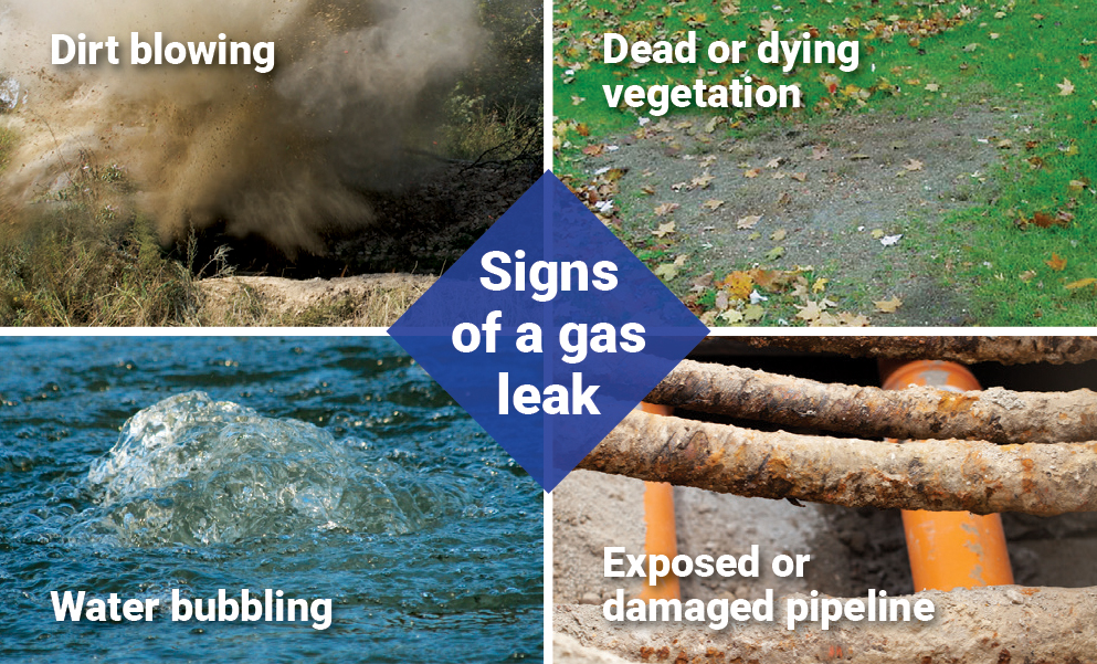 Signs of a gas leak